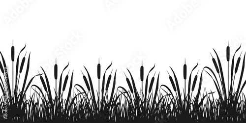 Black silhouette of border with marsh vegetation. Reeds in sedge thickets. Tall river grass