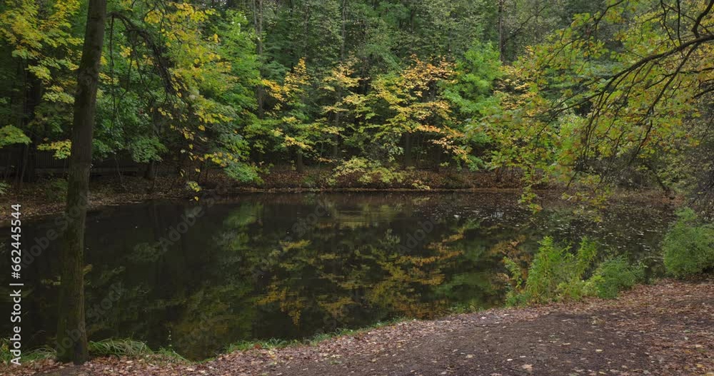Vibrant foliage reflects in sunlit water, surrounded by blooming flowers and trees. Vibrant foliage reflects in sunlit water, surrounded by blooming flowers and trees.