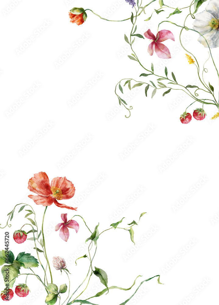 Watercolor floral border of meadow flowers, poppies, raspberries, cornflowers and clover. Hand painted illustration isolated on white background. For design, print, fabric or background.
