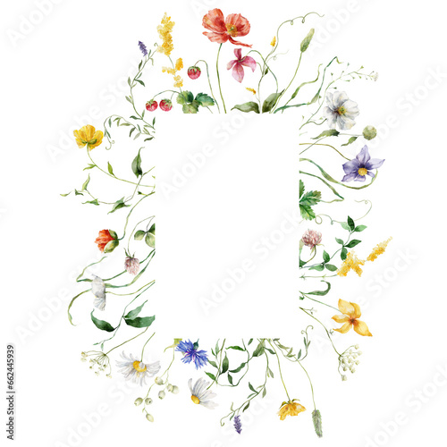 Watercolor floral frame of meadow flowers, poppies, cornflowers, chamomiles, raspberries and clovers. Hand painted illustration isolated on white background. For design, print, fabric or background.