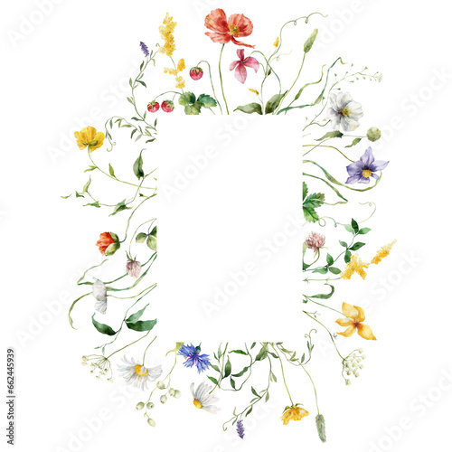Wallpaper Mural Watercolor floral frame of meadow flowers, poppies, cornflowers, chamomiles, raspberries and clovers. Hand painted illustration isolated on white background. For design, print, fabric or background. Torontodigital.ca