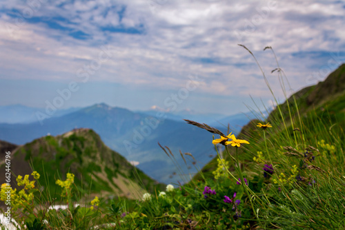 picturesque beautiful panorama view of the mountain gorge mountain ranges covered with greenery forests and snow against the background of the blue sky