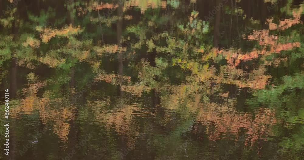 Vibrant foliage reflects in sunlit water, surrounded by blooming flowers and trees.