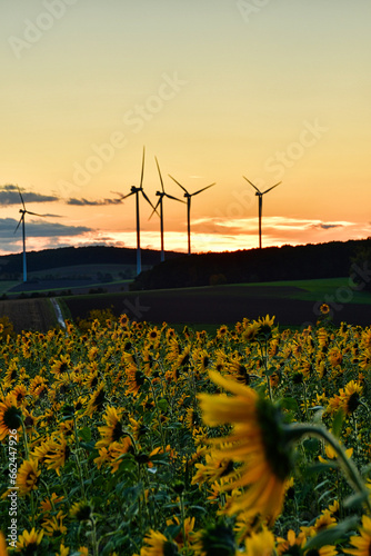 Windräder mit Sonnenblumen