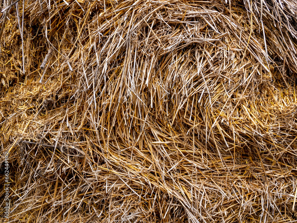 Collected straw in bales selective focus Collected straw in bales selective focus