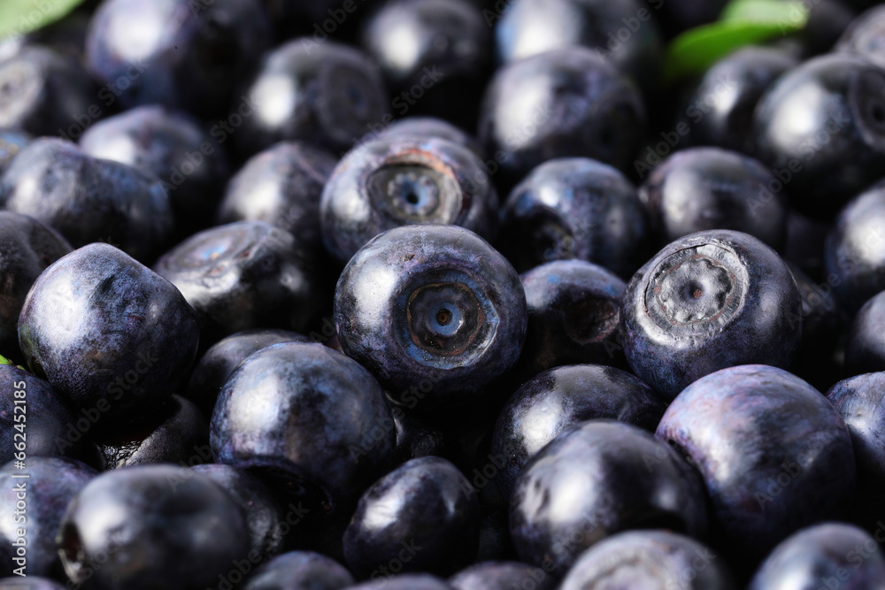 Many delicious ripe bilberries as background, closeup Many delicious ripe bilberries as background, closeup