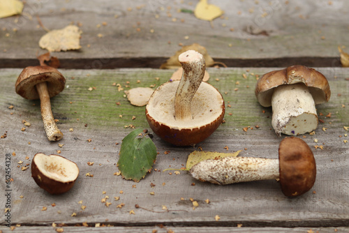 Forest edible mushrooms with cep mushroom on a wooden table.