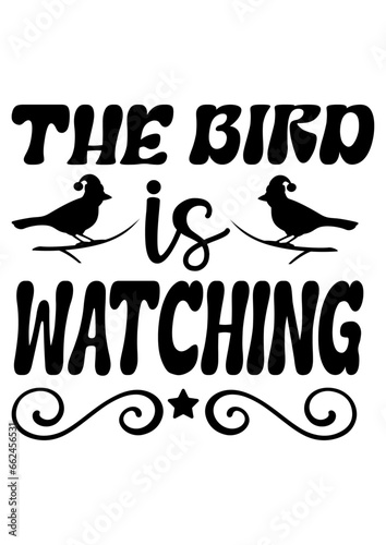 the bird is watching