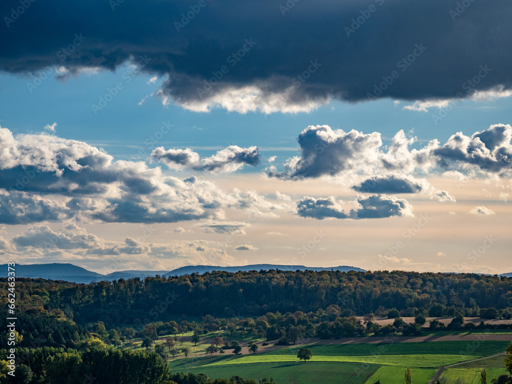 Naklejka premium Obstbaum im Feld