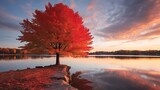  a tree with red leaves on a lake shore at sunset.  generative ai