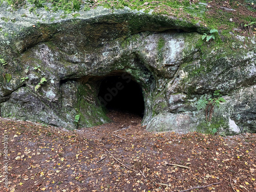 The cave in the wild forest