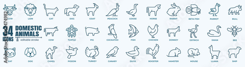 Print op canvas domestic Animals Vector Icons