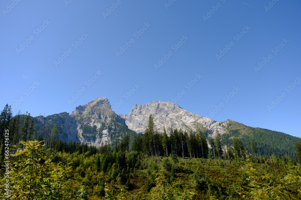 Froschperspektive einer Felswand mit Wald im Vordergrund