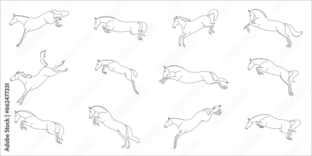 Various phases of a horse jumping on freedom, line vector illustration