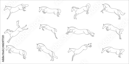 Various phases of a horse jumping on freedom, line vector illustration