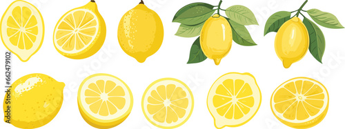 Isolated citrus clipart, lemons slices, cut and on branch with green leaves. Fresh vitamin C food, lemon vector collection