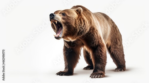 A fierce brown bear roaring in the wilderness