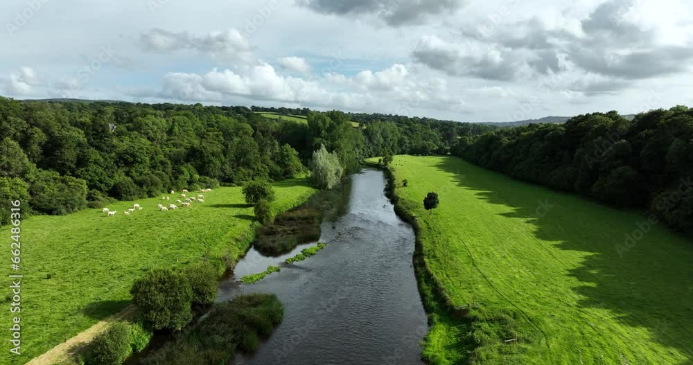 River Nore on the background of picturesque trees and meadows 4k River Nore on the background of picturesque trees and meadows 4k