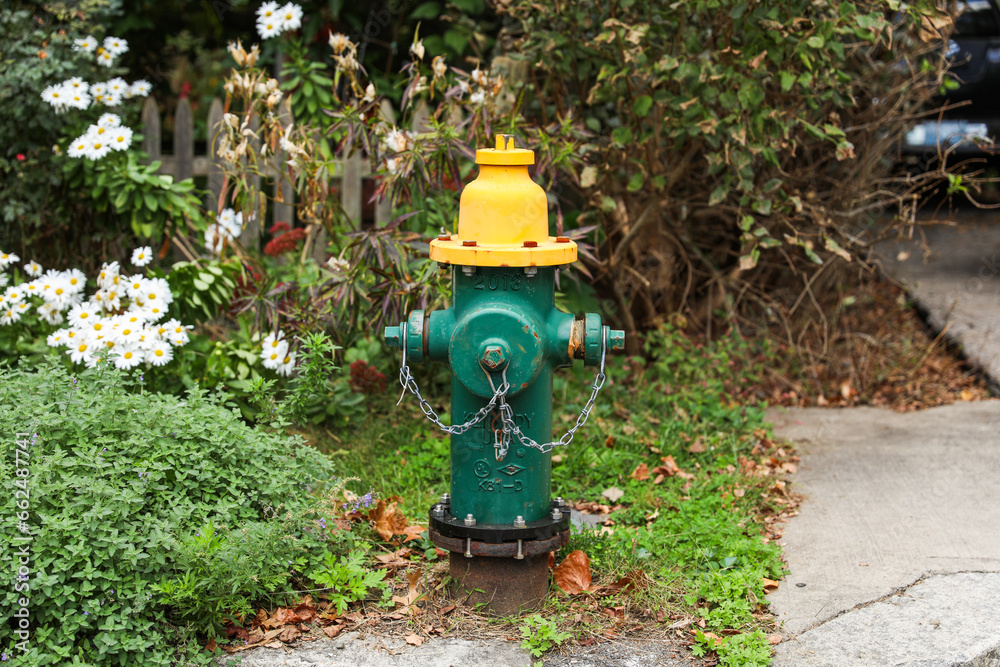 fire hydrant stands on a city sidewalk, symbolizing safety, preparedness, and emergency response, framed by urban surroundings fire hydrant stands on a city sidewalk, symbolizing safety, preparedness, and emergency response, framed by urban surroundings