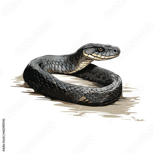Hand Drawn Sketch Water Moccasin Snake Illustration
