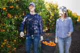 Portrait of a young farmer with a female colleague working in a fruit nursery during the harvest of ripe tangerines