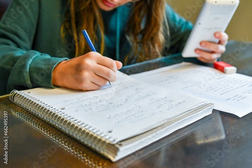 Tableau sur toile Teenage girl doing her homework