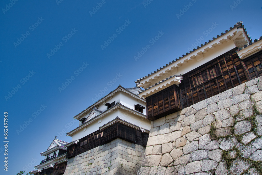 The castle scaffold of Matsuyama-Jo castle. Ehime Japan
The castle scaffold of Matsuyama-Jo castle. Ehime Japan