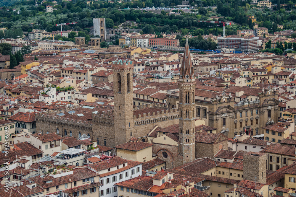 The church tower of Badia Fiorentina and Bargello palace in aerial view, Florence ITALY