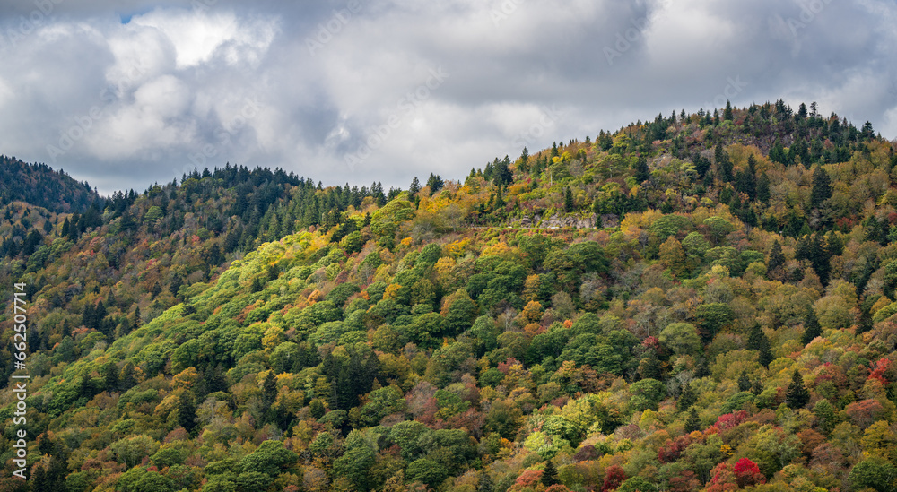 Fall colors in the mountains
