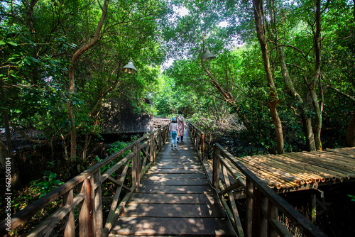 Mangrove natural tourist park located at Pantai Indah Kapuk, Muara Angke, Jakarta. One of the green areas in Jakarta which is also a tourist destination. photo