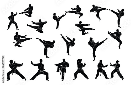 set of karate silhouette vector. Boxing and competition silhouettes vector image 