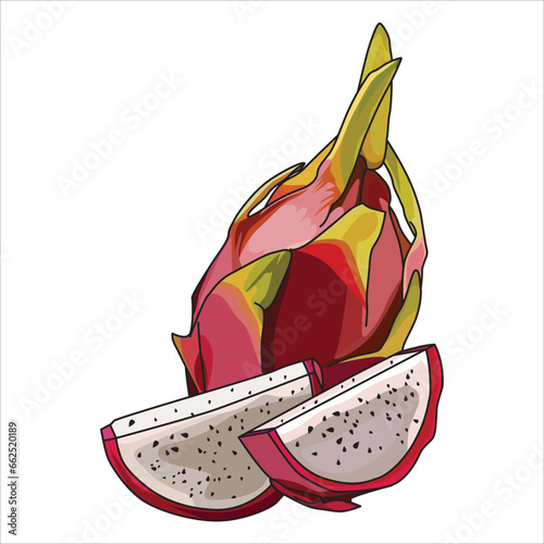 vector dragon fruit, suitable for stickers and other design elements