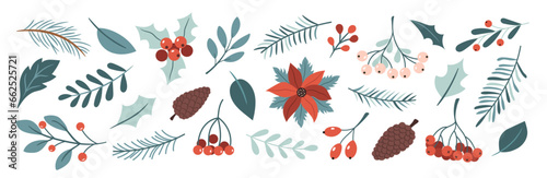 A set of winter plants for decoration