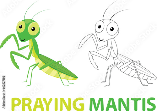 Cute Praying mantis cartoon Coloring Book, hand drawn simple lines