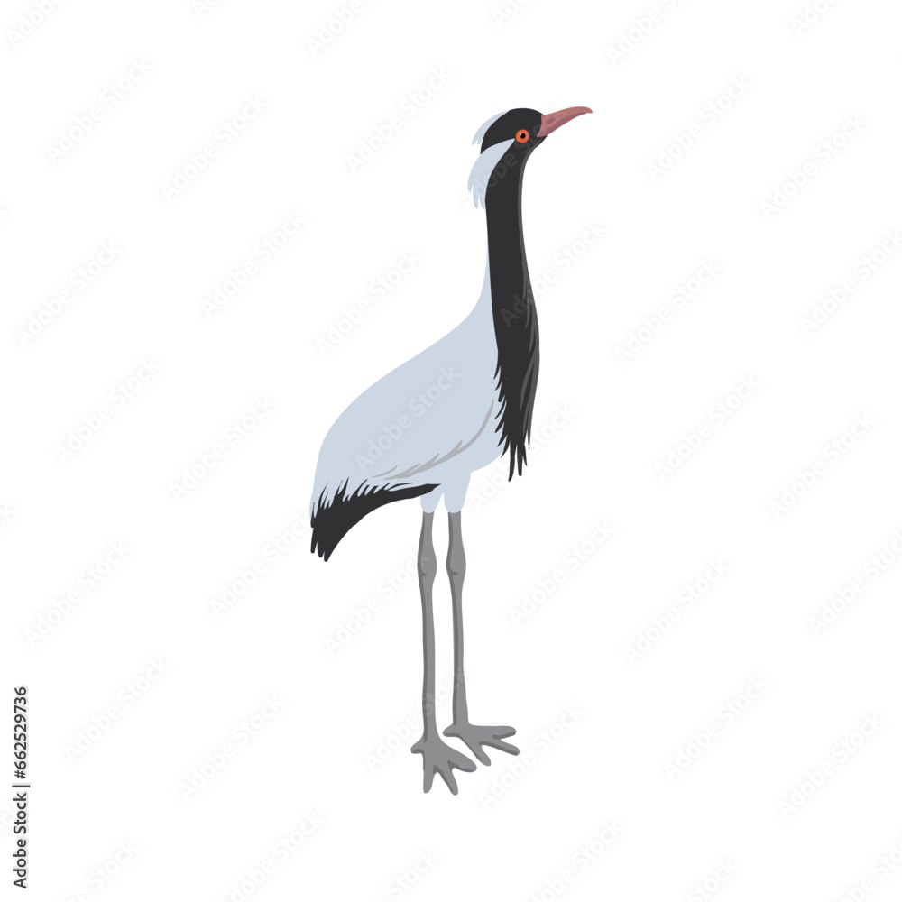 Fototapeta premium vector drawing sketch of bird, hand drawn demoiselle crane, isolated nature design element