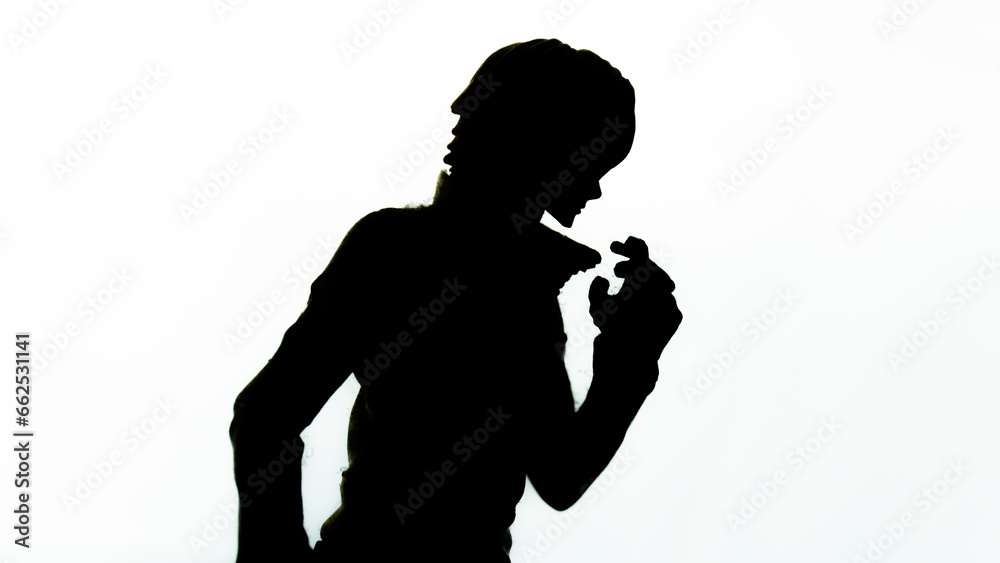 Silhouette of male action figure toy isolated on white background