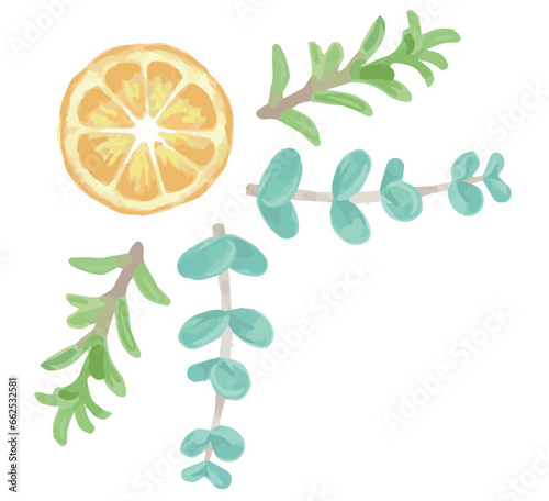 アロマに使われるハーブのイラスト・コーナー。フレームが作れます。ベクター素材