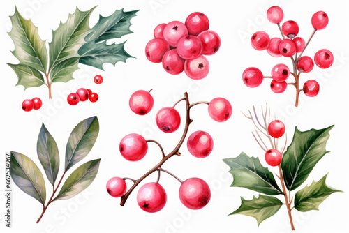Christmas Holly berry set, Digital paint watercolor illustration