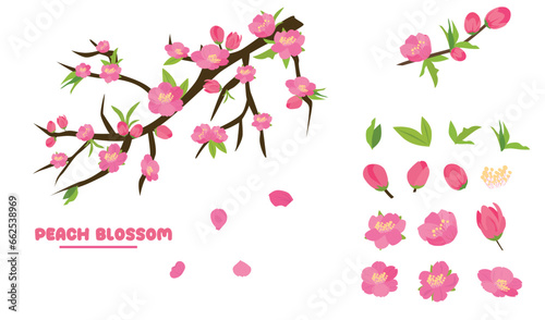 Wallpaper Mural Cartoon peach blossom vector set with flower, leaf, bud, tree branch. Cherry blossom vector. Spring flower.Tet flower. Vietnam traditional new year flower, hoa dao. Flat vector in cartoon style. Torontodigital.ca