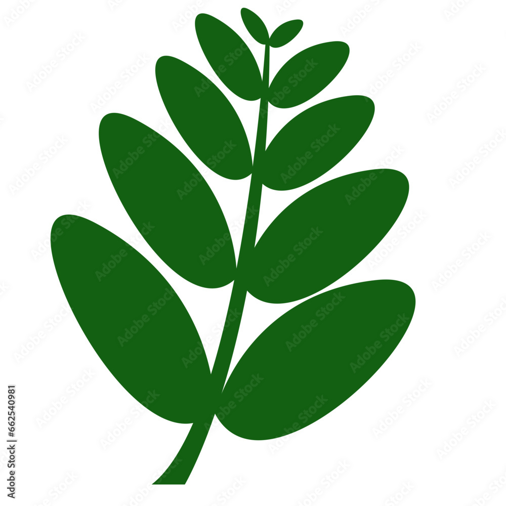 Naklejka premium Exotic plants, palm leaves