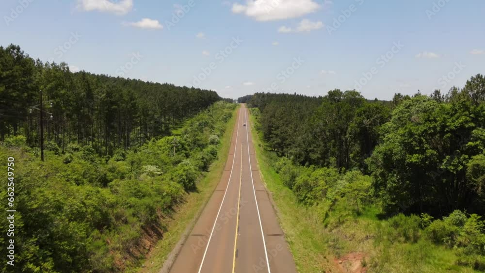 A road enveloped by reforestation pine plantations in Argentina. A road enveloped by reforestation pine plantations in Argentina.