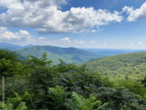 Summer sky, blue mountains and green forest.