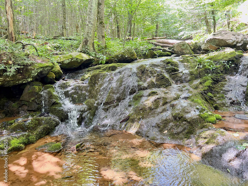 A stream flowing through a moss-covered rock face in the forest.