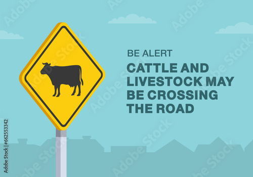 Safe driving tips and traffic regulation rules. Cattle and livestock may be crossing the road sign. Close-up view. Flat vector illustration template.