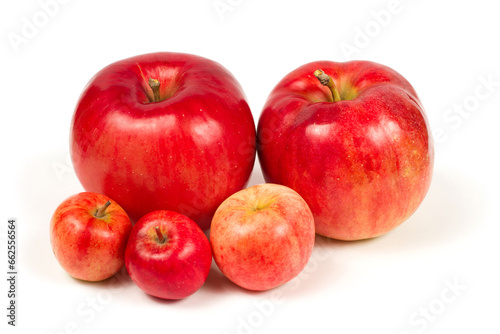 A family of apples. Large and small apples. Red apples on a white background.