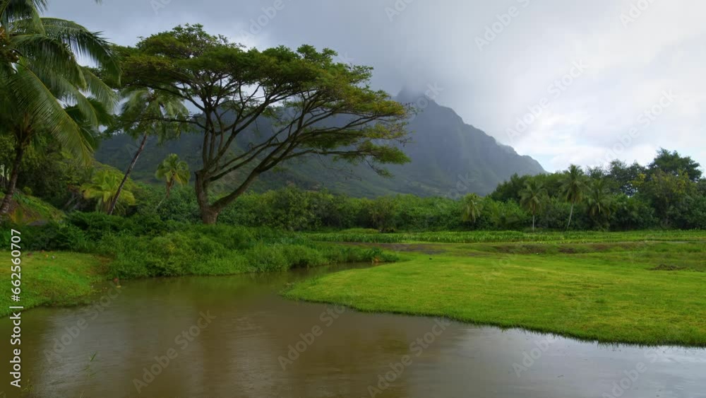 Rain Following On Hawaiian Pond - Drone Shot Rain Following On Hawaiian Pond - Drone Shot