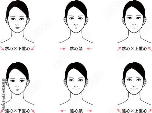 求心顔と遠心顔