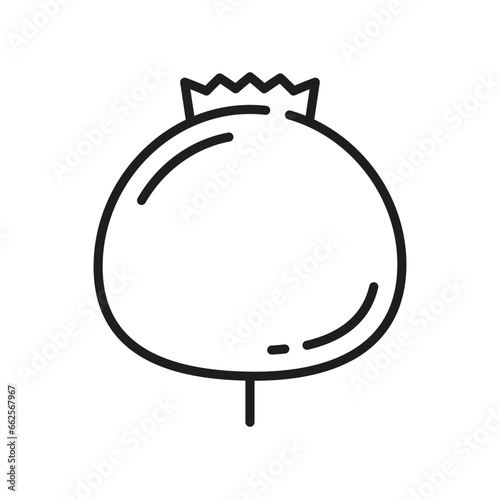 Blueberry northern highbush blue-berry isolated outline icon. Vector thin line swamp huckleberry, dietary superfruit, healthy organic food supplement