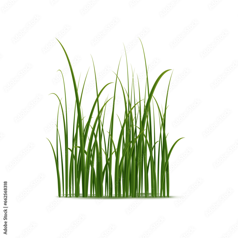 Realistic green grass, isolated 3d vector detailed cluster of natural plant blades for landscaping or gardening services, or environmental designs Realistic green grass, isolated 3d vector detailed cluster of natural plant blades for landscaping or gardening services, or environmental designs