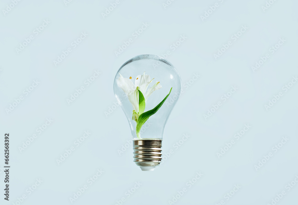 Ecology and green energy concept. green leaves growing inside a bulb.